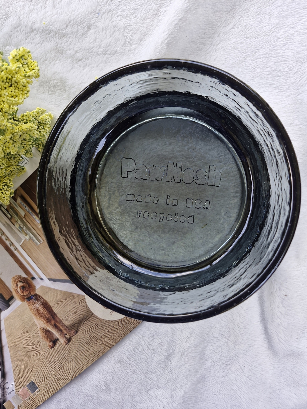 PawNosh Zorra Recycled 6" Glass Pet Bowl
